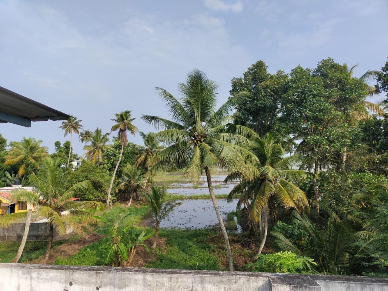 Paddy N Canal Homestay Alappuzha エクステリア 写真