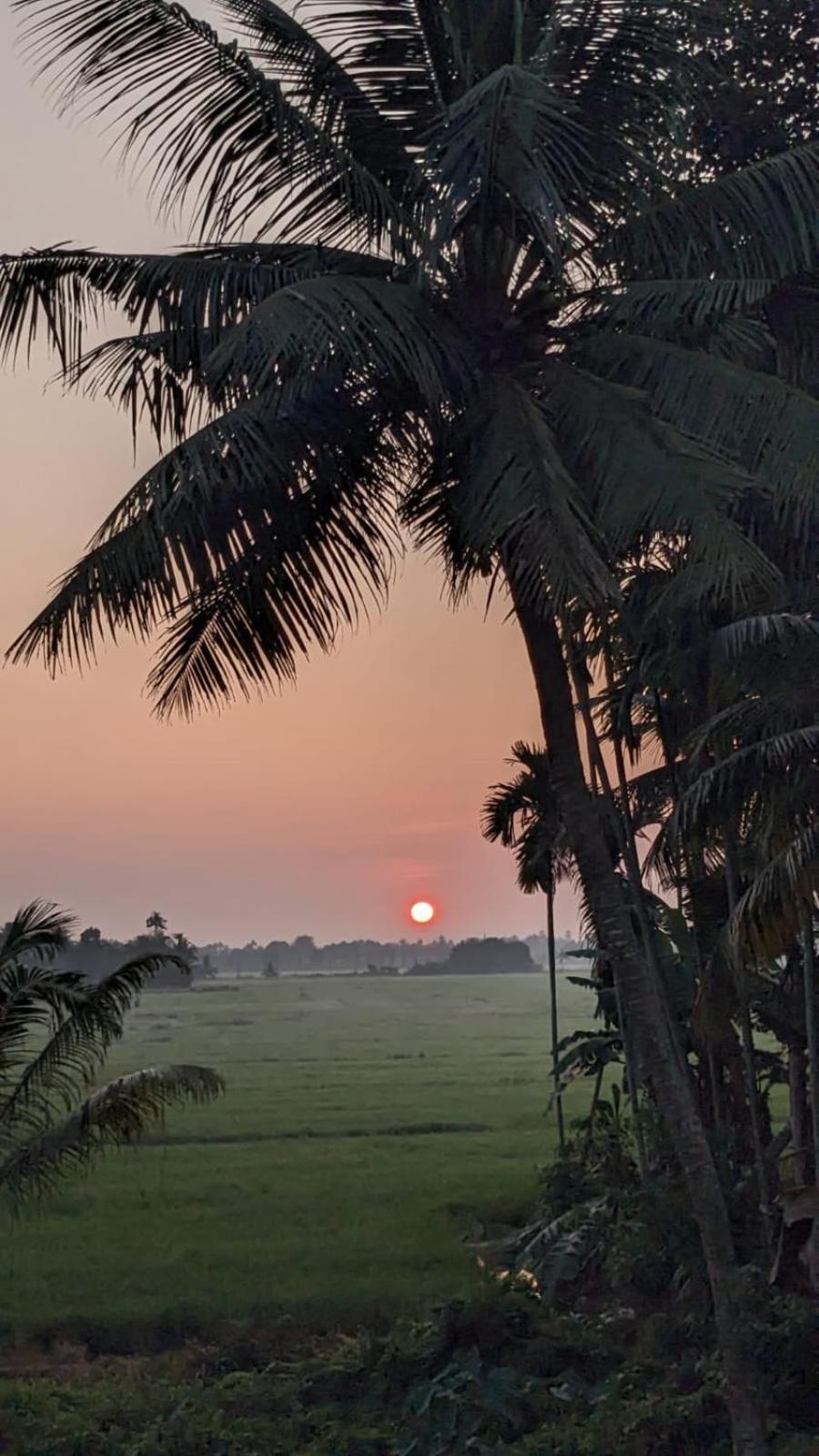 Paddy N Canal Homestay Alappuzha エクステリア 写真